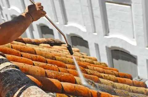 Démoussage de toiture à Maransin